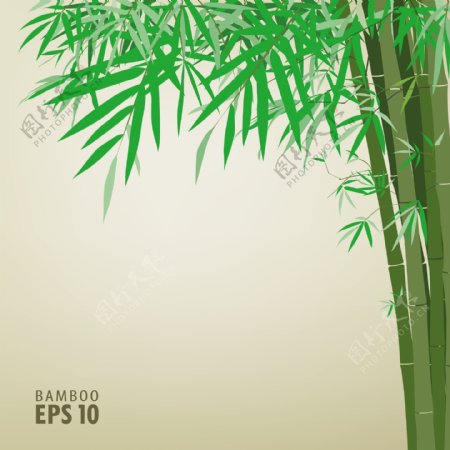 绿竹林背景文本模板矢量素材2
