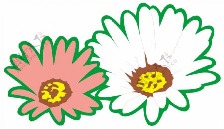 百合花康乃馨花朵