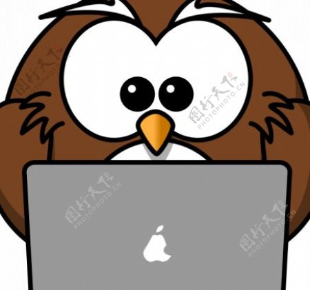 猫头鹰与笔记本电脑的矢量绘图