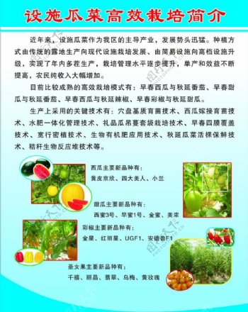 瓜果蔬菜宣传展板图片