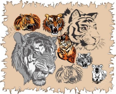 八种虎头图案