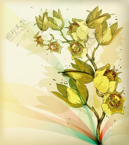 手绘水彩花卉花朵矢量素材