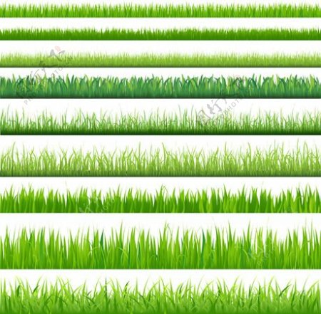 绿色小草背景矢量素材
