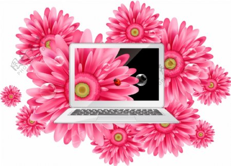 精美的雏菊与笔记本电脑矢量素材