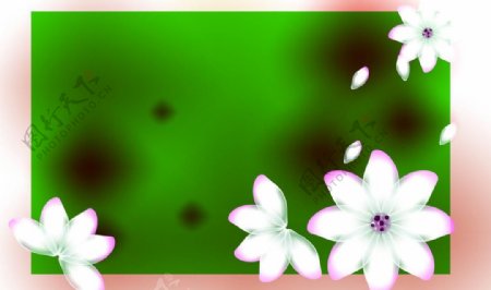 透明花水晶花粉色图片