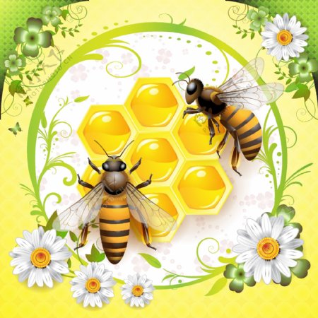 美味的蜂蜜相关矢量标签