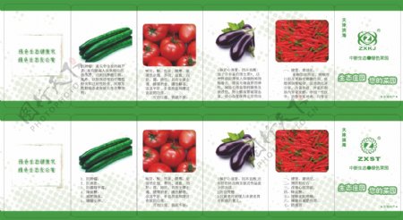 蔬菜五折页图片