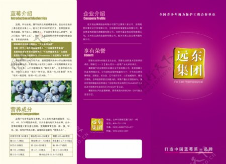 蓝莓远东国际三折页图片
