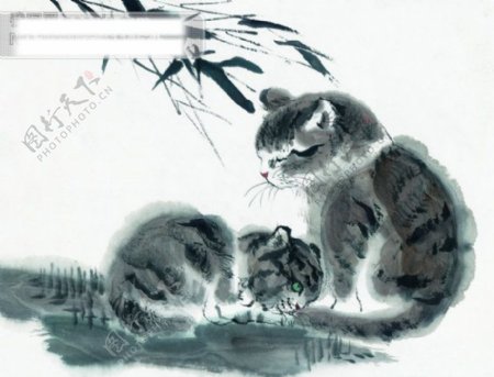 古图动物绘画猫
