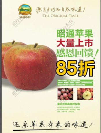 昭通苹果海报