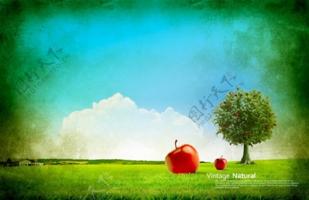 草原上的红苹果和绿树