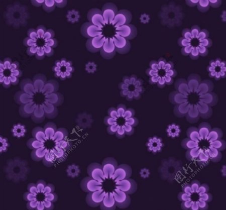 发光的紫色花的可重复的模式