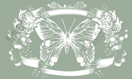 动物印花矢量图昆虫徽章标记花蝴蝶免费素材