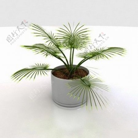 3D室内植物模型