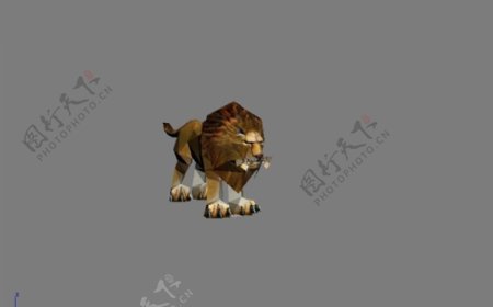 狮子3d模型图片