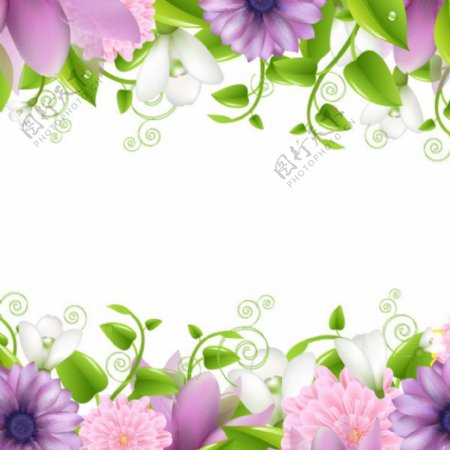 花卉植物边框