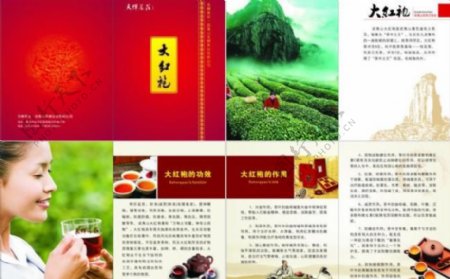 大红袍红茶茶文化画册图片