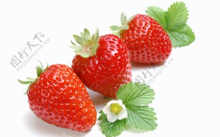 高清水果草莓图