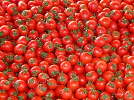 铺满的番茄