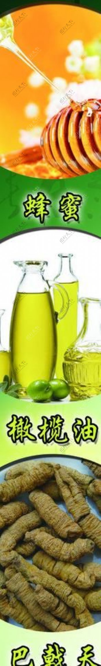 橄榄油展板图片