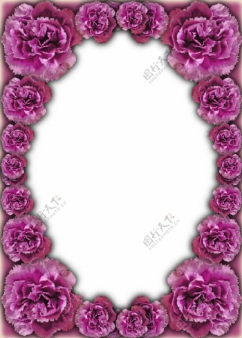 紫红玫瑰花相框