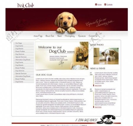 快乐宠物网页模板