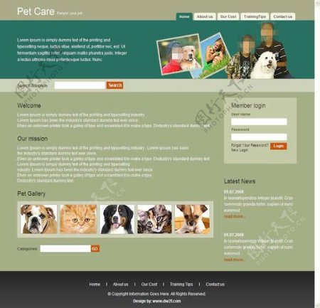 国外宠物店创意网站模板