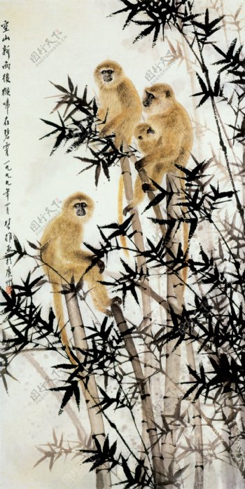 竹梢啼猴图片