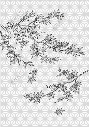 日本的植物花卉矢量素材34叶绘图枫叶