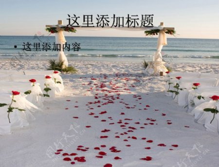 海边浪漫婚礼