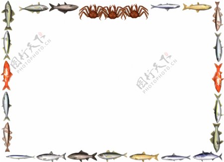 各种鱼蟹组成的边框相框图片