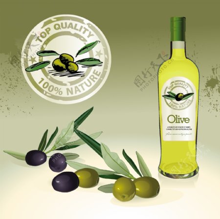 矢量橄榄油广告设计图片