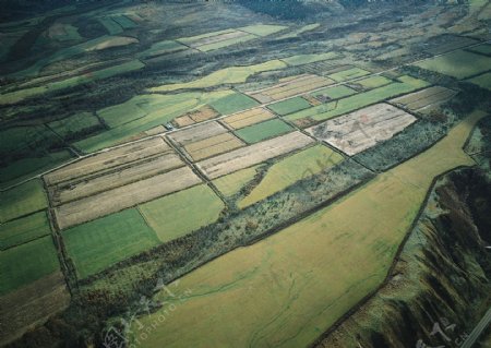 田地图片