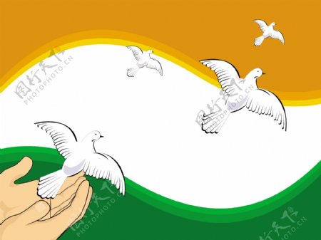 矢量插画飞翔的鸽子在印度国旗颜色的背景