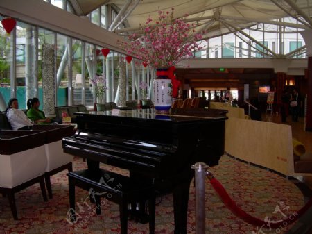 新加坡酒店大钢琴图片