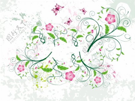 花卉图案用于服装壁纸设计等领域