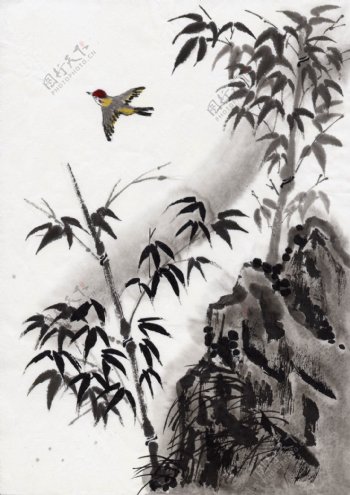 竹子和鸟