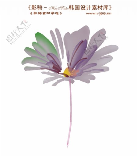 花纹花朵装饰修饰HanMaker韩国设计素材库
