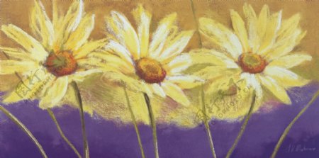黄色花卉油画无框画装饰画图片