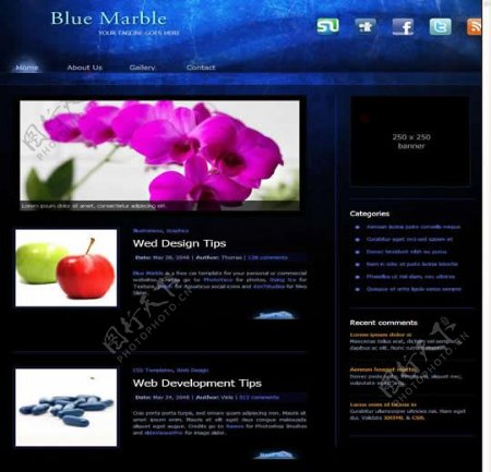 国外蓝色水果创意网站模板