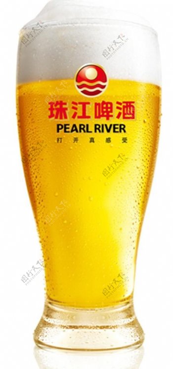 珠江啤酒杯图片
