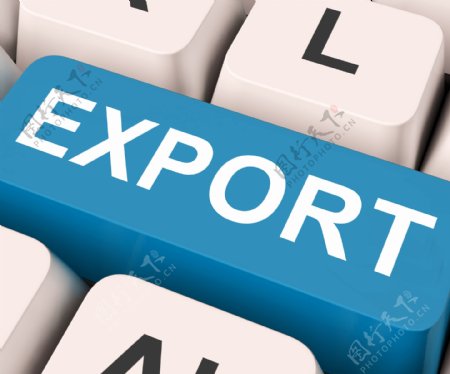 出口的重要手段国外销售或贸易