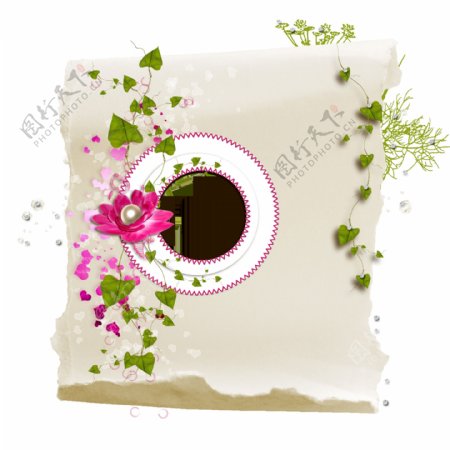 花朵花纹花藤相框背景图片