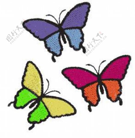 绣花动物蝴蝶色彩五颜六色免费素材