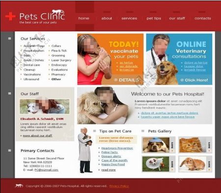 宠物网站模板