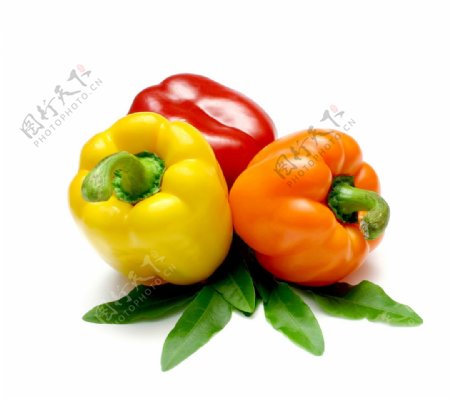 辣椒蔬菜图片