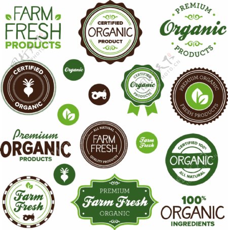 使用绿色食品生态和生物载体04个标签贴纸