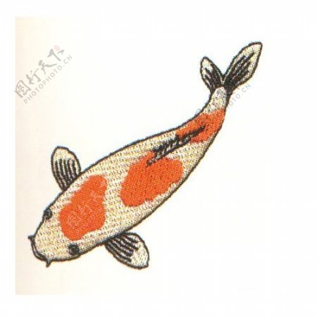 绣花动物鱼花纹色彩免费素材