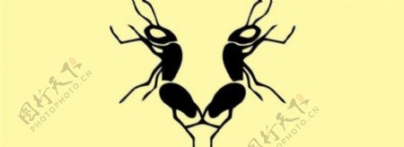 蚂蚁logo图片