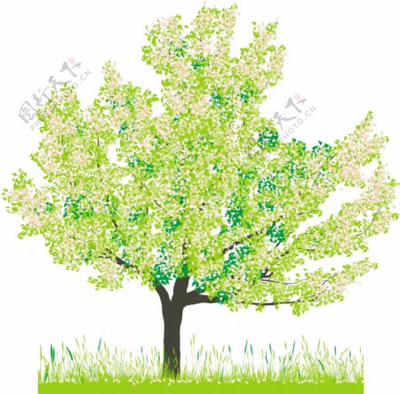 春天绿色树木矢量图下载